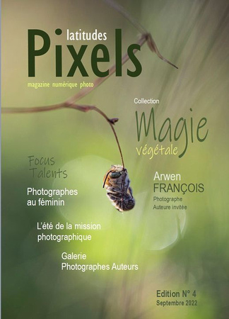 Plusieurs photos sur l'iridescence publiées sur le numéro 4 de Pixels Latitudes, septembre 2022.
