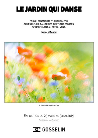 Exposition solo de 16 grands formats chez Gosselin Photo, printemps 2019