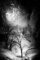 Monochrome, nature et paysages divers